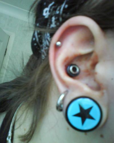 punched conch