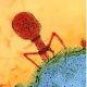 moose0ntheloose's Avatar