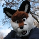 matious's Avatar