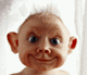 MUNCIO DANEL's Avatar