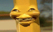 OceanAndSilence's Avatar