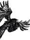 Crowe's Avatar