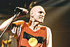Top Ten Bald Musicians-507515_356x237.jpg