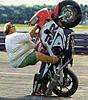 Member Picture Gallery-fat-wheelie.jpg