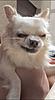 Member Pet Picture Gallery-whatsapp-image-2026-04-08-17.44.14.jpeg