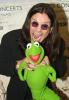 evilzug.com?  He was kind of rude to me lol...-ozzy-kermit_060302.jpg