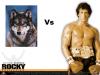 what the largest animal you could kick to death?-wolf-v-rocky.jpg
