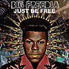 Big Freedia - Just Be Free-freedia_final_cover_300.jpg